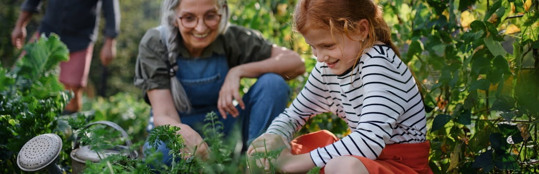 Grandparent and child gardening together in a family garden, symbolizing the sharing of financial literacy, values and stewardship across generations to help prepare heirs for the future.