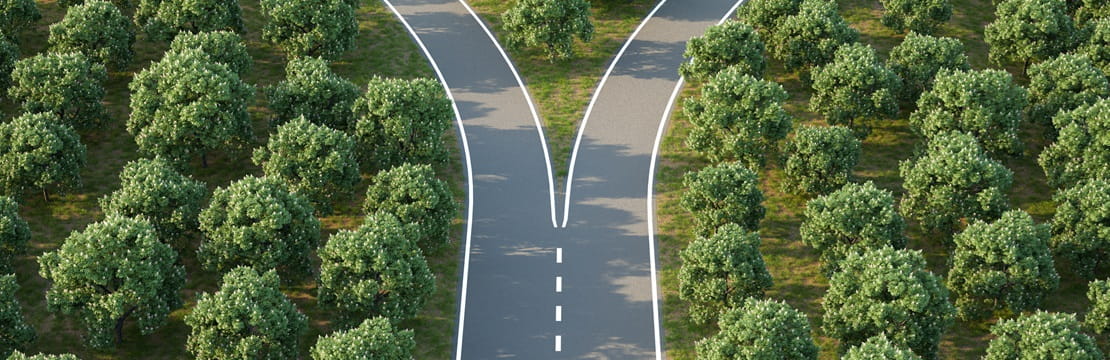 Arial image of a forking road within a forest symbolizing the choice between two giving vehicles: private foundations and donor advised funds.